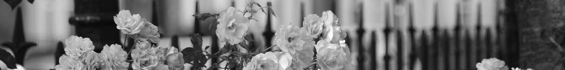 Property in Walthamstow - Sale,Rent,Houses,Flats - Allen Davies